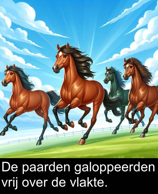 galoppeerden: De paarden galoppeerden vrij over de vlakte.