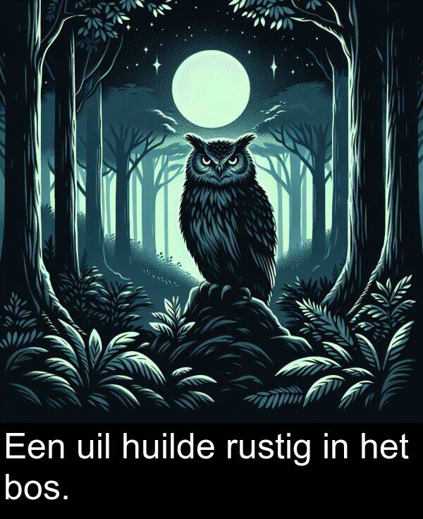 uil: Een uil huilde rustig in het bos.