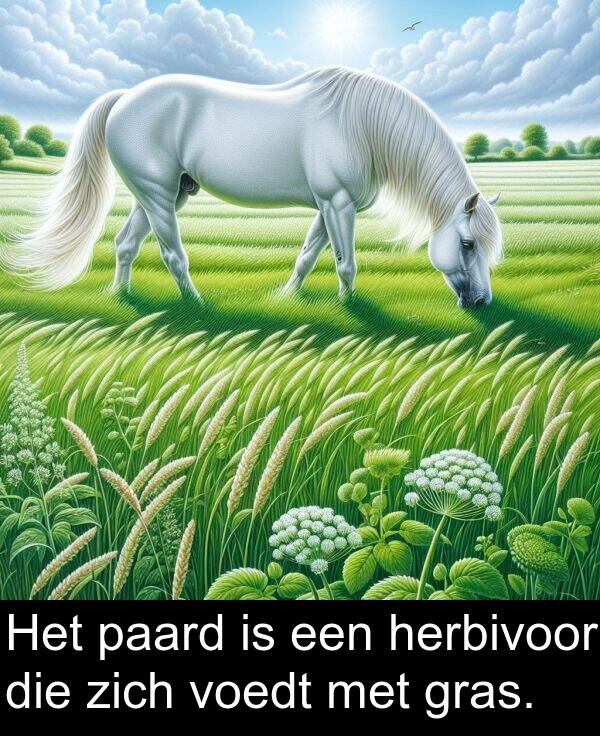 zich: Het paard is een herbivoor die zich voedt met gras.