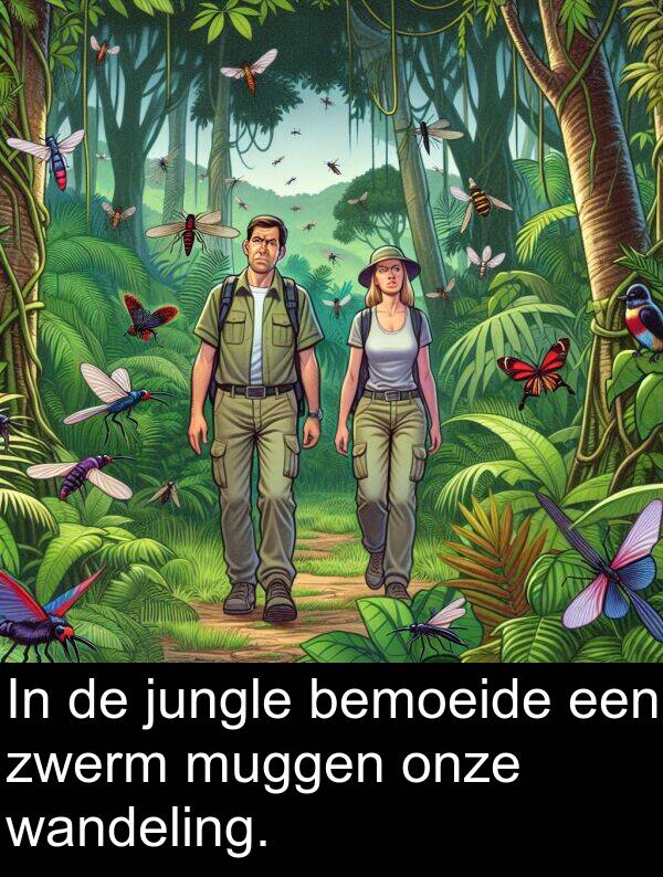 zwerm: In de jungle bemoeide een zwerm muggen onze wandeling.