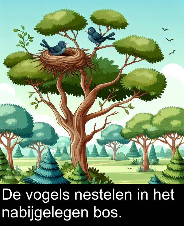 nabijgelegen: De vogels nestelen in het nabijgelegen bos.