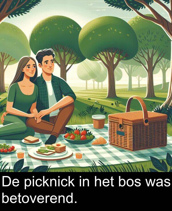 was: De picknick in het bos was betoverend.