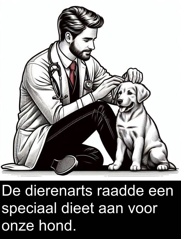 dierenarts: De dierenarts raadde een speciaal dieet aan voor onze hond.