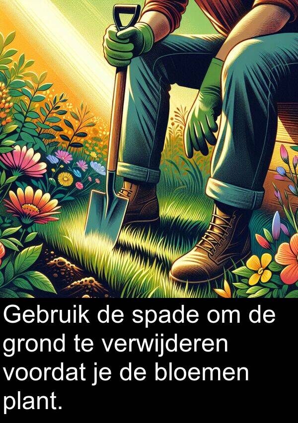 plant: Gebruik de spade om de grond te verwijderen voordat je de bloemen plant.