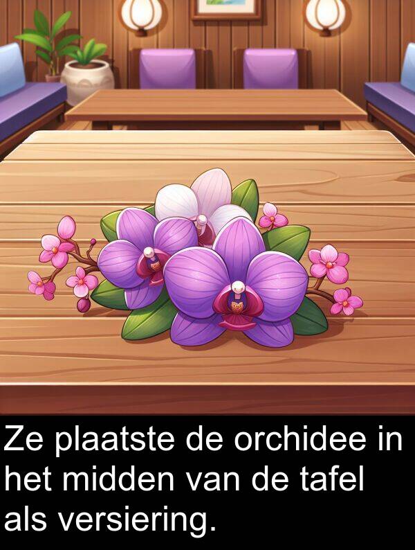 plaatste: Ze plaatste de orchidee in het midden van de tafel als versiering.