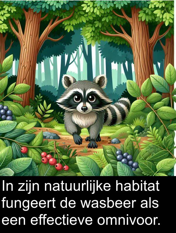 fungeert: In zijn natuurlijke habitat fungeert de wasbeer als een effectieve omnivoor.