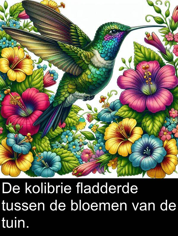 tussen: De kolibrie fladderde tussen de bloemen van de tuin.