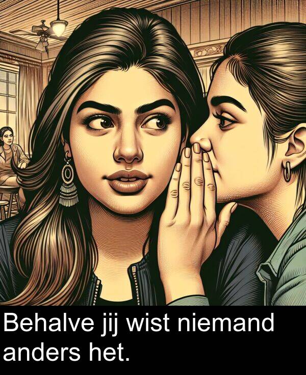 niemand: Behalve jij wist niemand anders het.