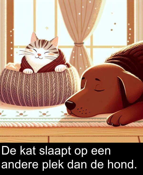 dan: De kat slaapt op een andere plek dan de hond.