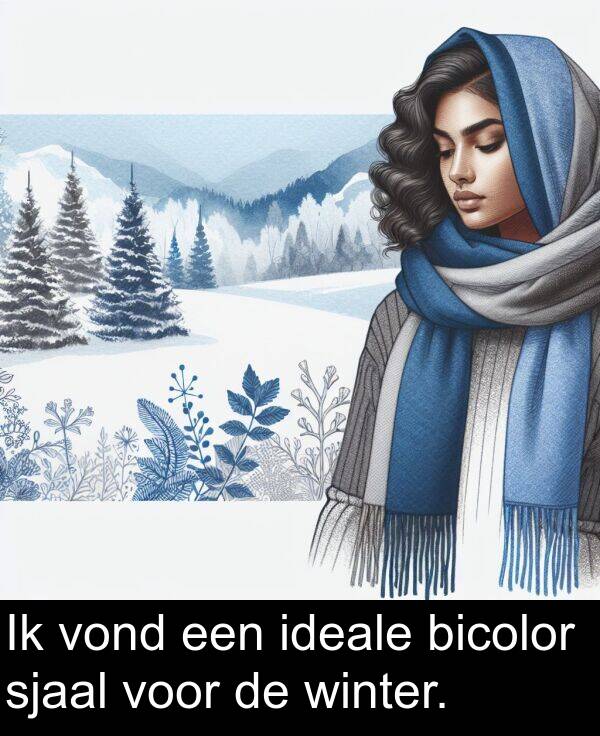 ideale: Ik vond een ideale bicolor sjaal voor de winter.