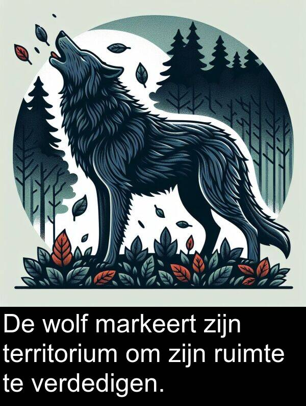 markeert: De wolf markeert zijn territorium om zijn ruimte te verdedigen.