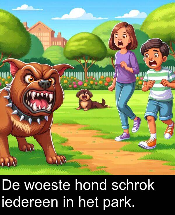 iedereen: De woeste hond schrok iedereen in het park.