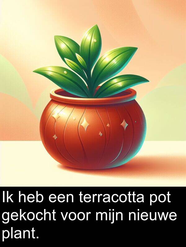 plant: Ik heb een terracotta pot gekocht voor mijn nieuwe plant.