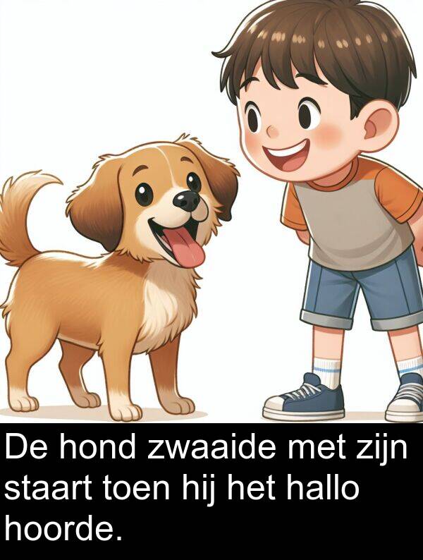 zwaaide: De hond zwaaide met zijn staart toen hij het hallo hoorde.