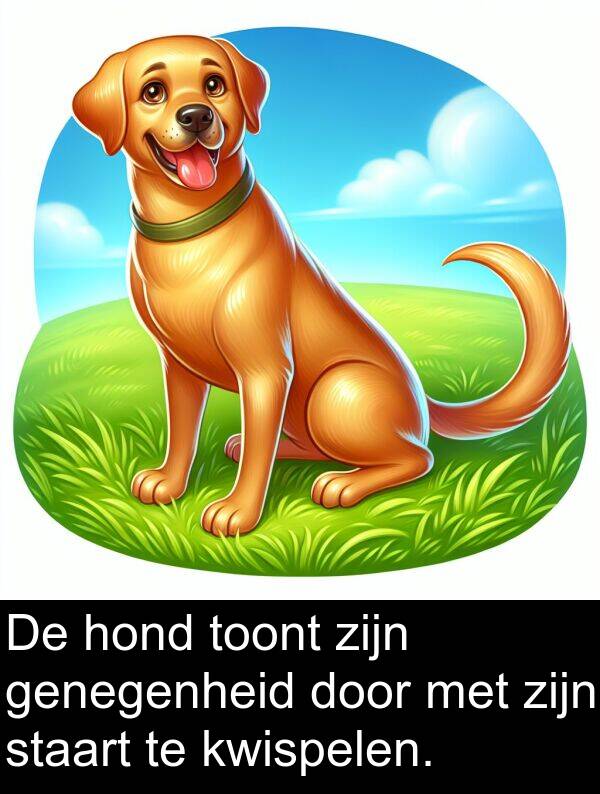 hond: De hond toont zijn genegenheid door met zijn staart te kwispelen.