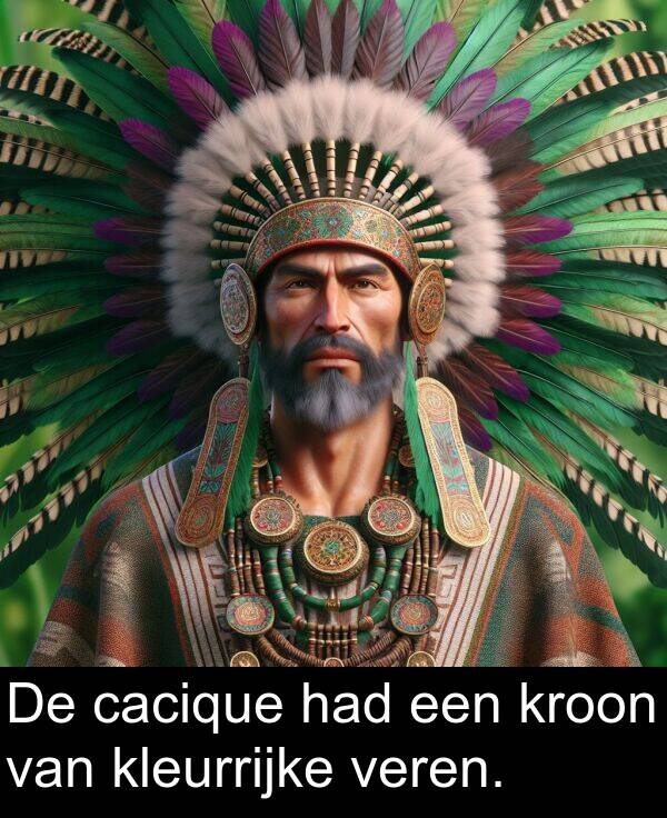 had: De cacique had een kroon van kleurrijke veren.