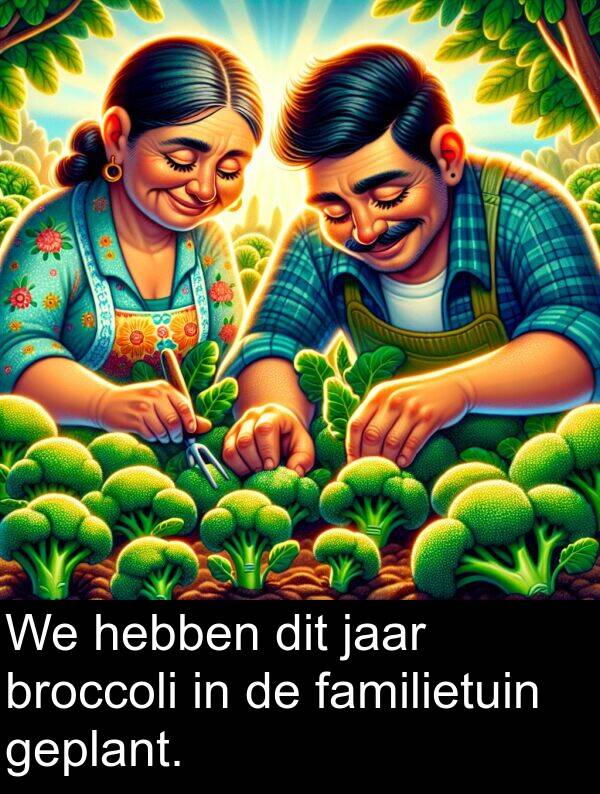 familietuin: We hebben dit jaar broccoli in de familietuin geplant.