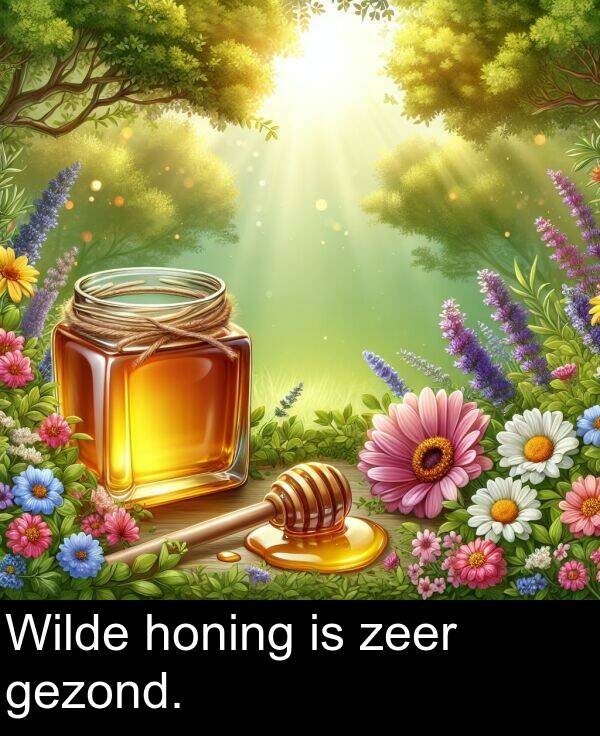 zeer: Wilde honing is zeer gezond.