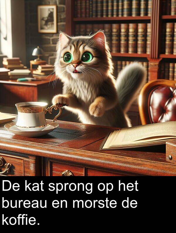 kat: De kat sprong op het bureau en morste de koffie.