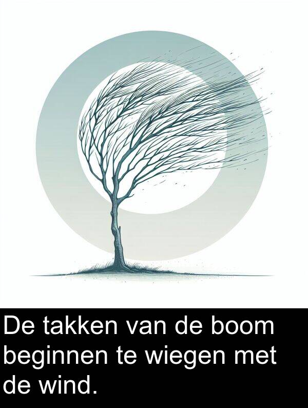 takken: De takken van de boom beginnen te wiegen met de wind.