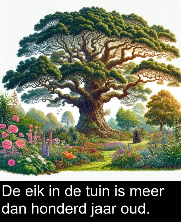 dan: De eik in de tuin is meer dan honderd jaar oud.