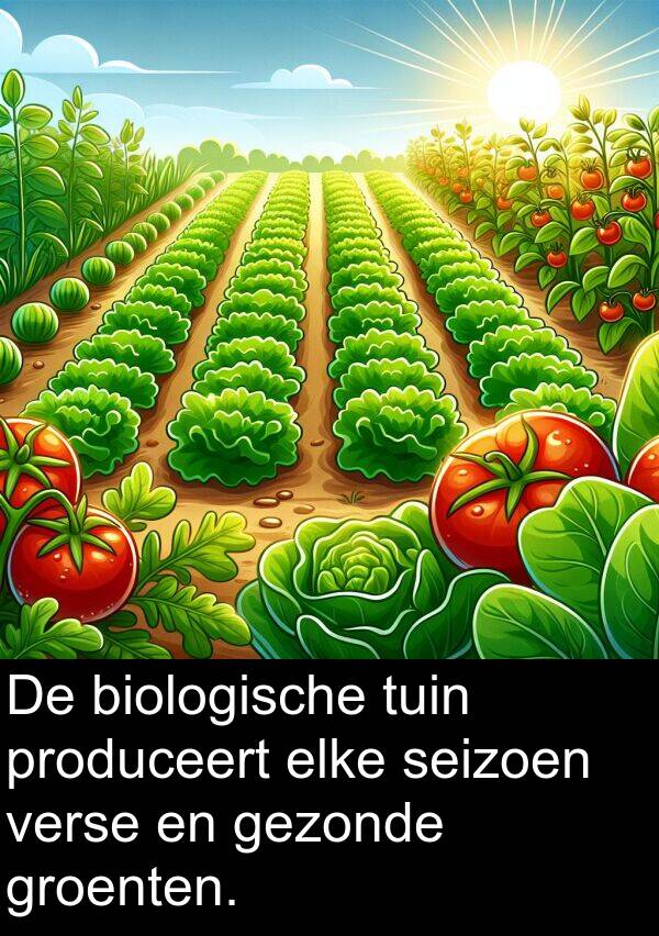 elke: De biologische tuin produceert elke seizoen verse en gezonde groenten.