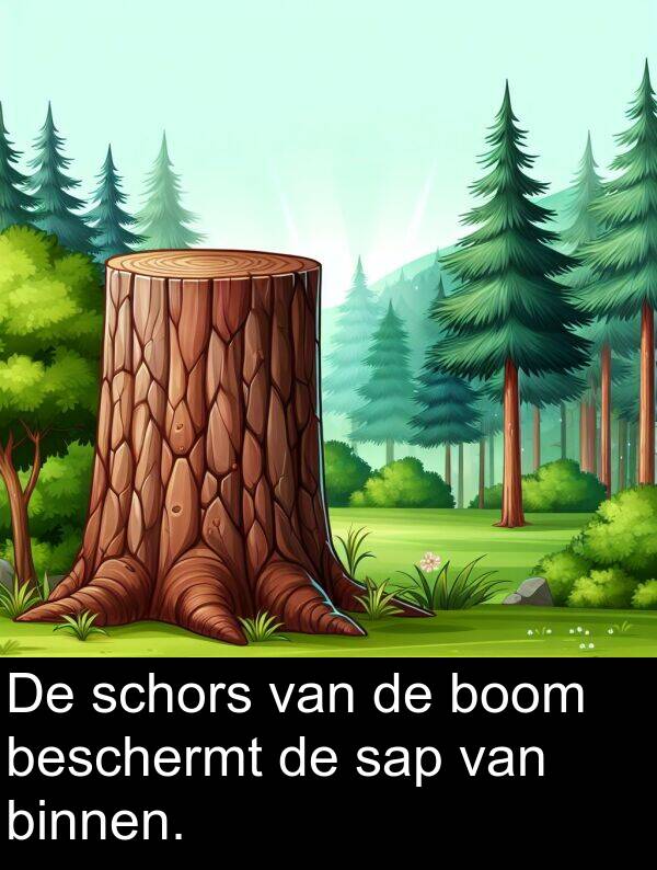 sap: De schors van de boom beschermt de sap van binnen.