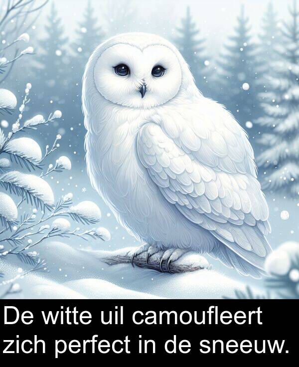 zich: De witte uil camoufleert zich perfect in de sneeuw.