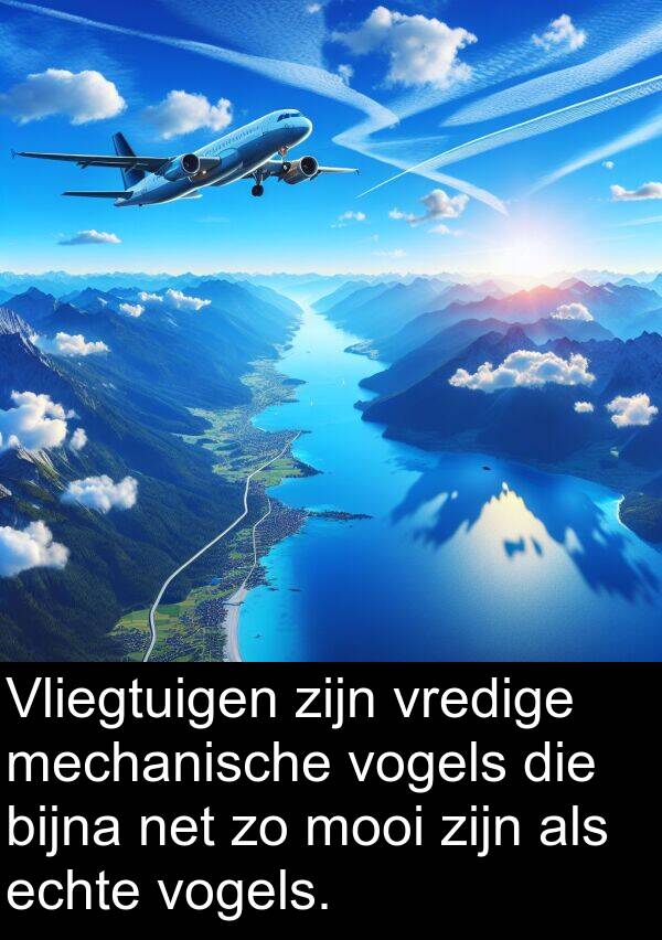 echte: Vliegtuigen zijn vredige mechanische vogels die bijna net zo mooi zijn als echte vogels.