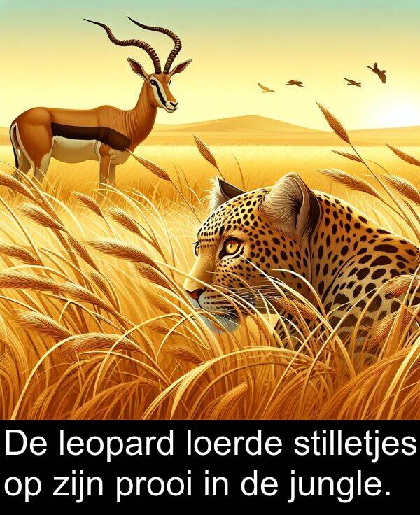 jungle: De leopard loerde stilletjes op zijn prooi in de jungle.