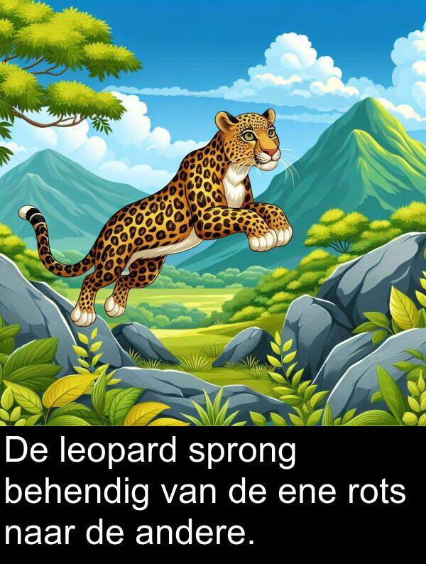 ene: De leopard sprong behendig van de ene rots naar de andere.