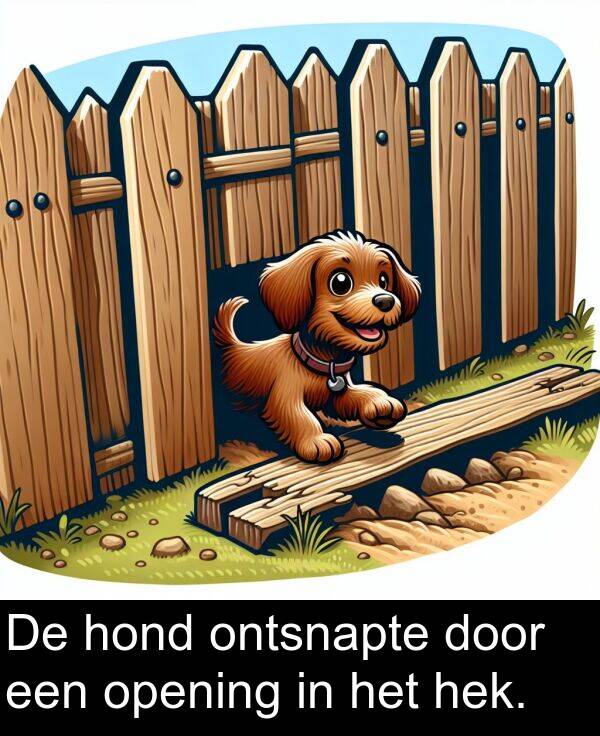 hek: De hond ontsnapte door een opening in het hek.