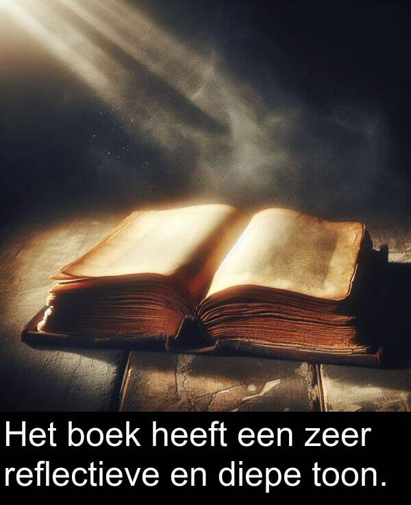 zeer: Het boek heeft een zeer reflectieve en diepe toon.