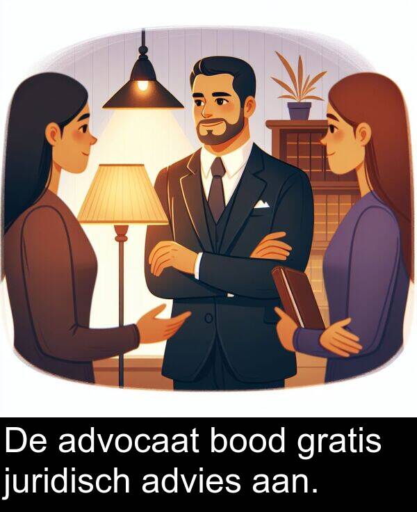 juridisch: De advocaat bood gratis juridisch advies aan.