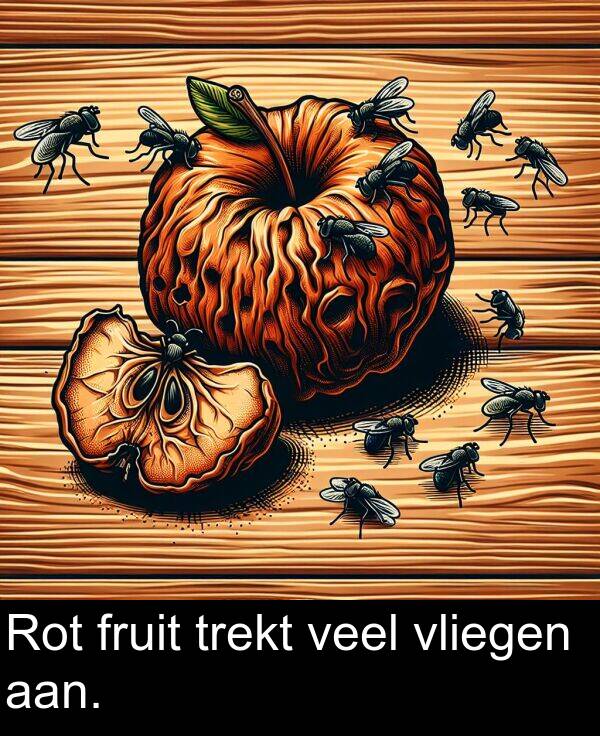 veel: Rot fruit trekt veel vliegen aan.