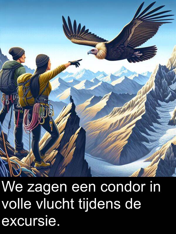 zagen: We zagen een condor in volle vlucht tijdens de excursie.