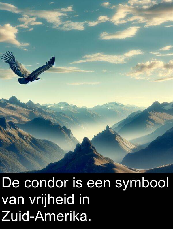 vrijheid: De condor is een symbool van vrijheid in Zuid-Amerika.