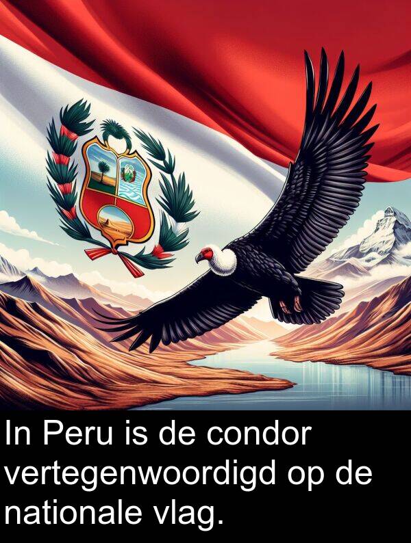 nationale: In Peru is de condor vertegenwoordigd op de nationale vlag.