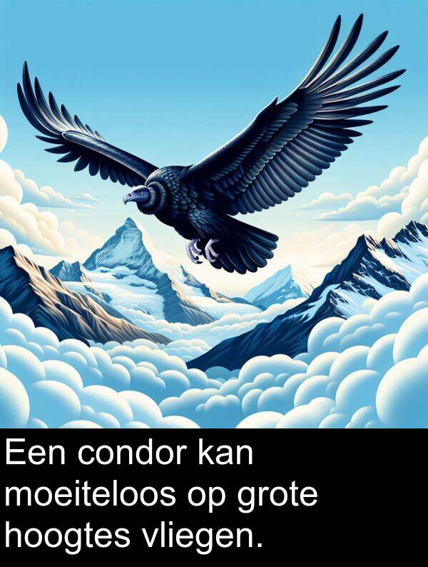 kan: Een condor kan moeiteloos op grote hoogtes vliegen.