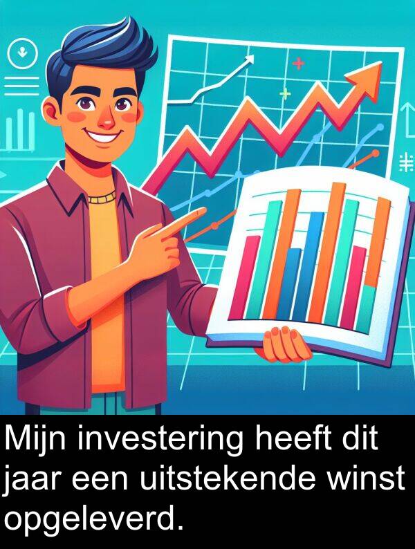 jaar: Mijn investering heeft dit jaar een uitstekende winst opgeleverd.