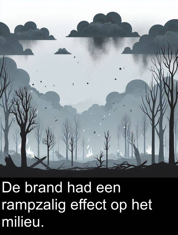 had: De brand had een rampzalig effect op het milieu.