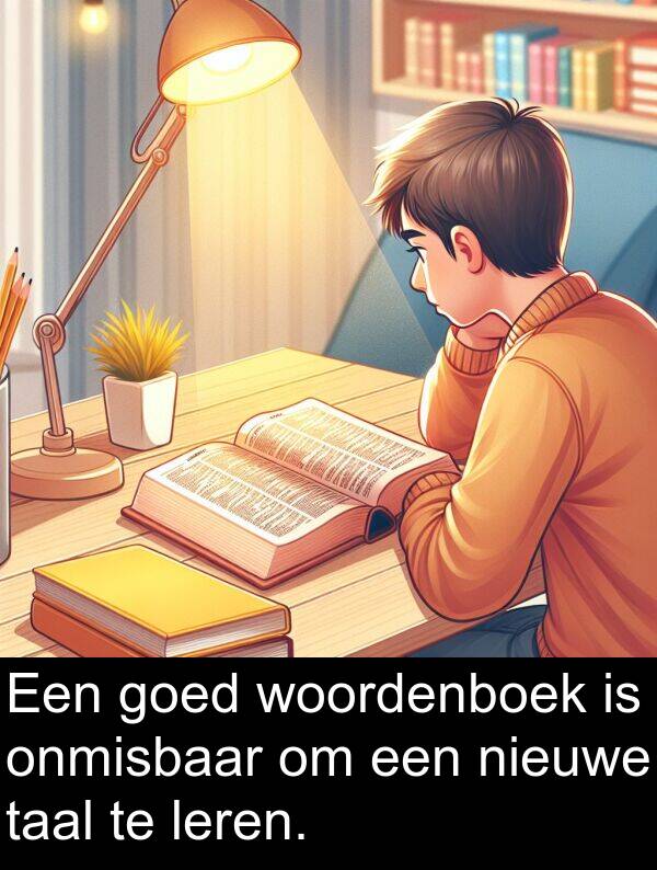 nieuwe: Een goed woordenboek is onmisbaar om een nieuwe taal te leren.