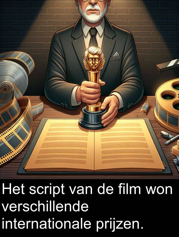 film: Het script van de film won verschillende internationale prijzen.