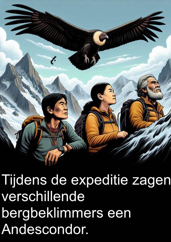 zagen: Tijdens de expeditie zagen verschillende bergbeklimmers een Andescondor.