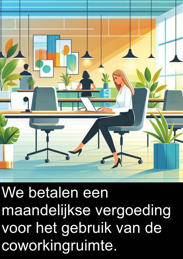 gebruik: We betalen een maandelijkse vergoeding voor het gebruik van de coworkingruimte.