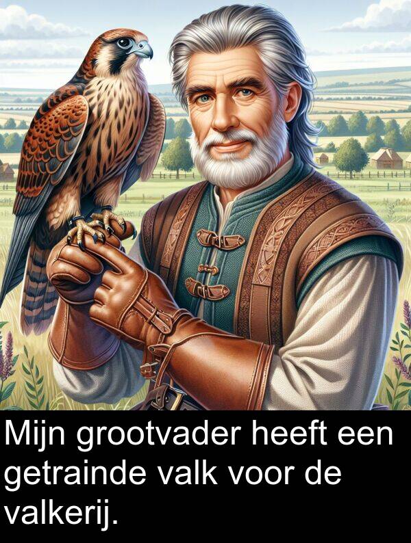 grootvader: Mijn grootvader heeft een getrainde valk voor de valkerij.