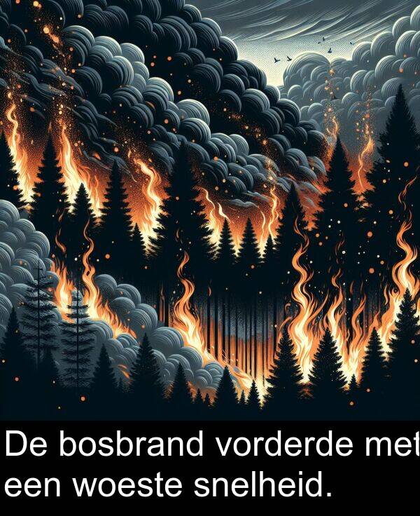 met: De bosbrand vorderde met een woeste snelheid.