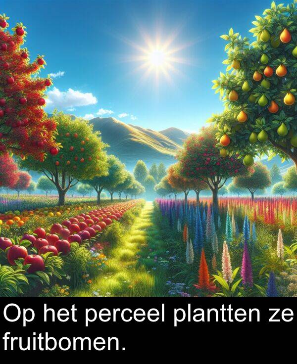 fruitbomen: Op het perceel plantten ze fruitbomen.