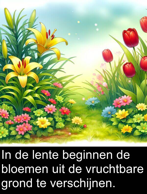 lente: In de lente beginnen de bloemen uit de vruchtbare grond te verschijnen.