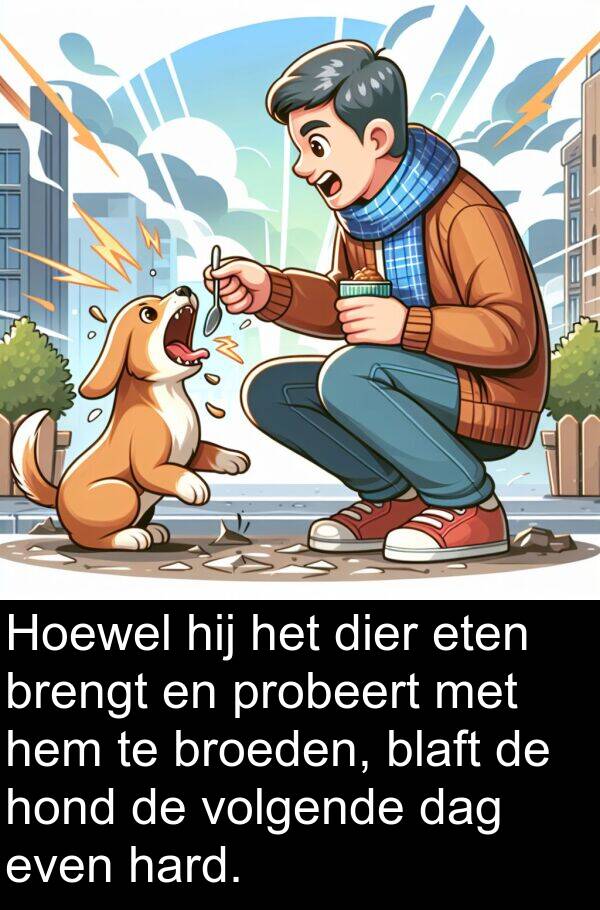 hard: Hoewel hij het dier eten brengt en probeert met hem te broeden, blaft de hond de volgende dag even hard.